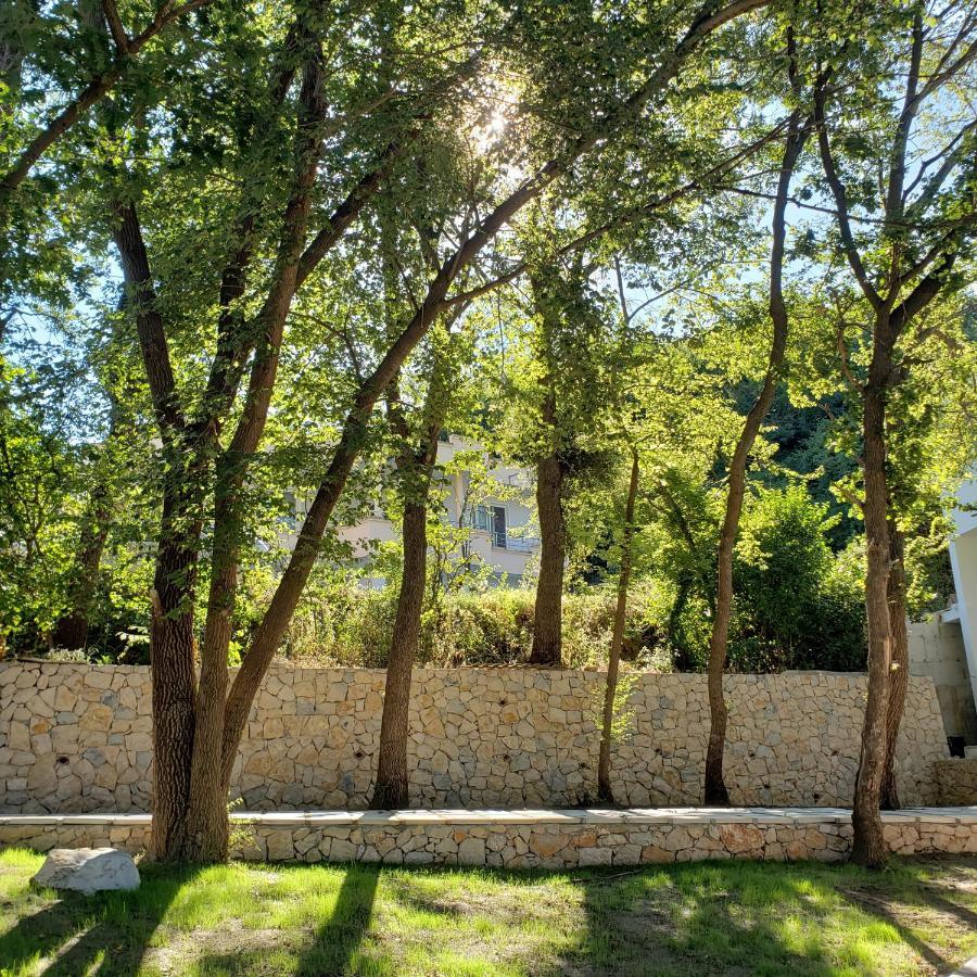 Green Hill Apartments Ulcinj Exterior foto